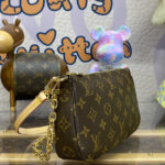 Louis Vuitton Pochette Accessoires M82766 Brown